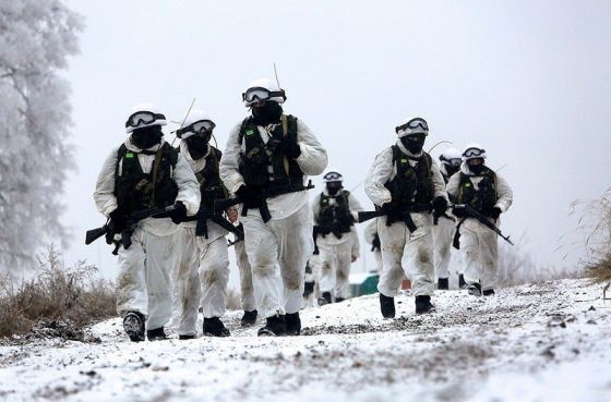Морпехи на Камчатке осваивают собачьи упряжки