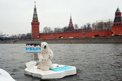 Сегодня утром белый медведь проплыл на льдине мимо Кремля Сегодня утром белый медведь проплыл на льдине мимо Кремля