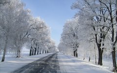 На выходных в столицу вернется зима На выходных в столицу вернется зима