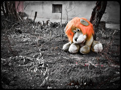 Педофилия шагает по стране Педофилия шагает по стране