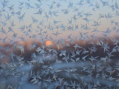 На следующей неделе температура может упасть ниже нуля На следующей неделе температура может упасть ниже нуля