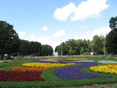 Дамы отравили заявку в гайд-парк на проведение митинга против бюстгальтеров Дамы отравили заявку в гайд-парк на проведение митинга против бюстгальтеров
