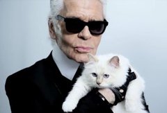 77-летний Карл Лагерфельд готов жениться на своей обожаемой кошке 77-летний Карл Лагерфельд готов жениться на своей обожаемой кошке